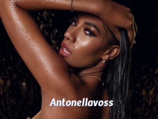 Antonellavoss