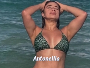 Antonellla