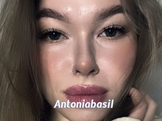 Antoniabasil