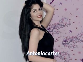 antoniacarter Sexe amateur contributions