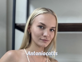 Antoniacatts