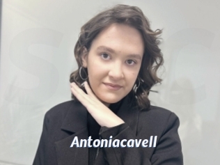 Antoniacavell