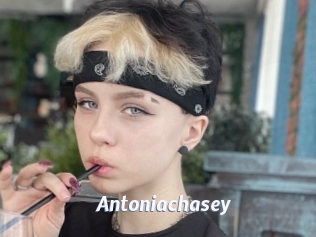 Antoniachasey