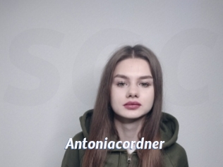 Antoniacordner