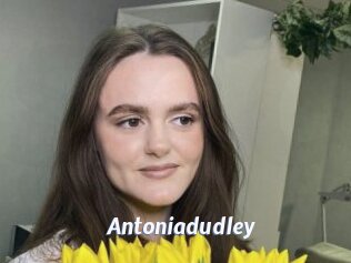 Antoniadudley