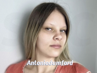 Antoniadumford