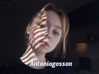 Antoniagosson