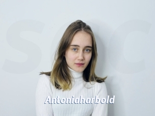 Antoniaharbold