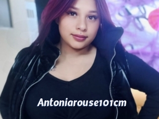 Antoniarouse101cm