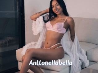 Anttonellabella