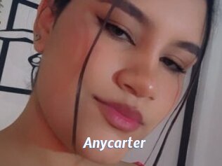 Anycarter