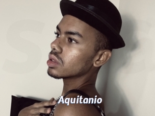 Aquitanio