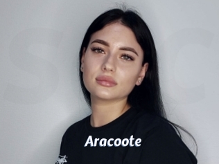 Aracoote