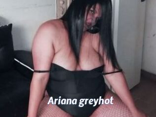 Ariana_greyhot