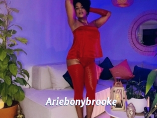 Ariebonybrooke