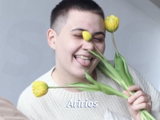 Aririos