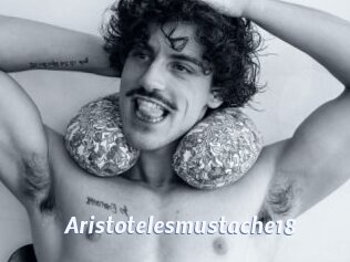 Aristotelesmustache18