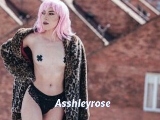 Asshleyrose