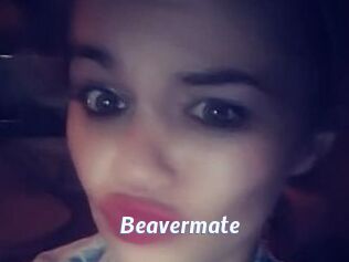 Beavermate