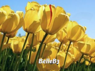 BelleB3 Sexe amateur contributions