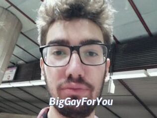 BigGayForYou
