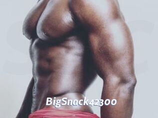 BigSnack42300