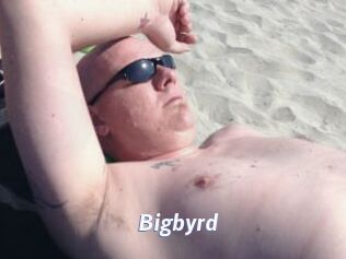 Bigbyrd