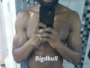 Bigdbull
