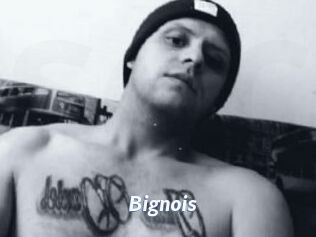 Bignois