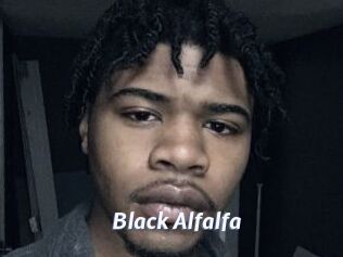 Black_Alfalfa
