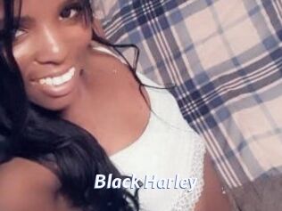 Black_Harley Sexe amateur contributions