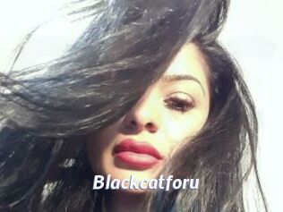 Blackcatforu