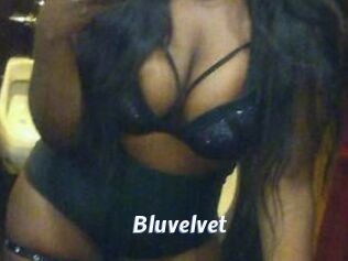 Bluvelvet