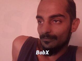 BobX Sexe amateur contributions