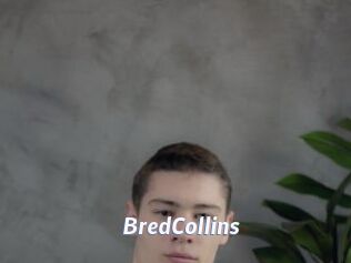 BredCollins Sexe amateur contributions