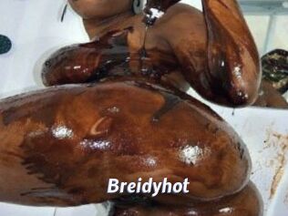 Breidyhot
