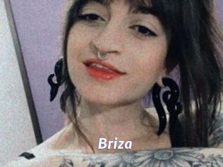 Briza
