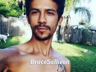 Bruce_Sullivan