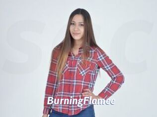 BurningFlamee