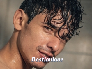 bastianlane Sexe amateur contributions