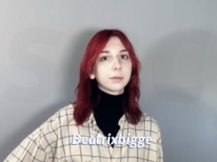 Beatrixbigge
