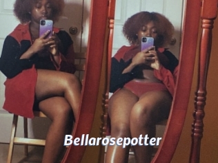 Bellarosepotter