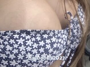Bigboobs2023