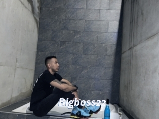 Bigboss22
