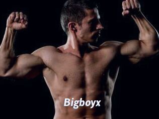 Bigboyx