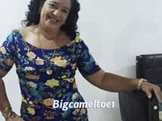 Bigcameltoe1