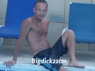 Bigdick22cm