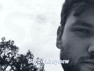 Bigdickboynew
