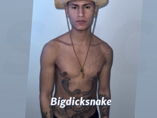 Bigdicksnake