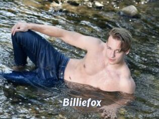 Billiefox